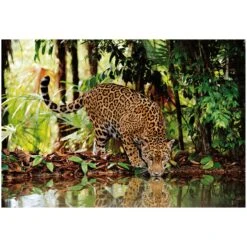 High Quality Collection Jigsaw Puzzle Clementoni 2000 Pieces -XS Stock Shop GRA32537Y 6347 2 opt