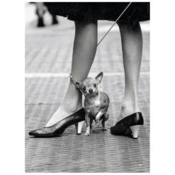 Clementoni Life Magazine Cover Photo Jigsaw Puzzle Black White 1000 Pieces -XS Stock Shop GRA39634 6347 2 opt