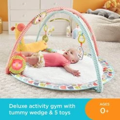 Fisher Price Go Wild Gym & Giraffe Wedge Mat Music Light -XS Stock Shop GRAGMG07 5960 9655 3 opt