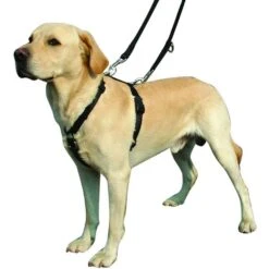 Kumfi Complete Control Harness For Dogs Safety Restraint -XS Stock Shop PRI376480 2 opt