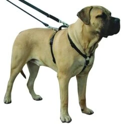 Kumfi Complete Control Harness For Dogs Safety Restraint -XS Stock Shop PRI376481 2 opt