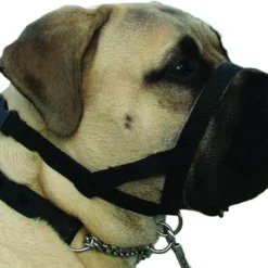 Kumfi Dogalter Canine Head Collar Training Halter Anti Pulling -XS Stock Shop PRI376484 2 opt