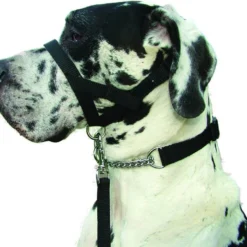 Kumfi Dogalter Canine Head Collar Training Halter Anti Pulling -XS Stock Shop PRI376486 2 opt