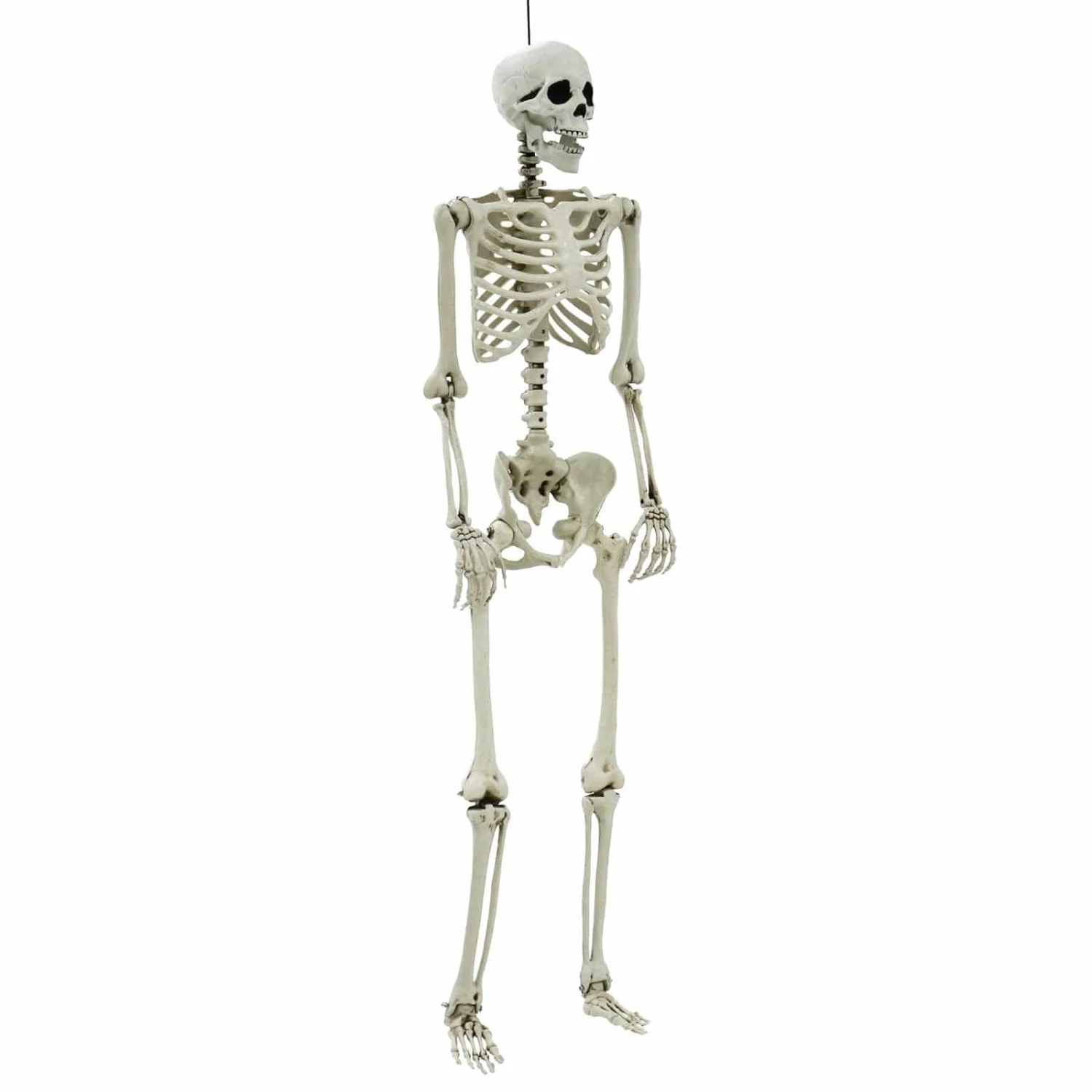 Life Size Poseable Skeleton Halloween Decoration Party Prop 152cm 2 Life Size Poseable Skeleton Halloween Decoration Party Prop 152cm - Image 2