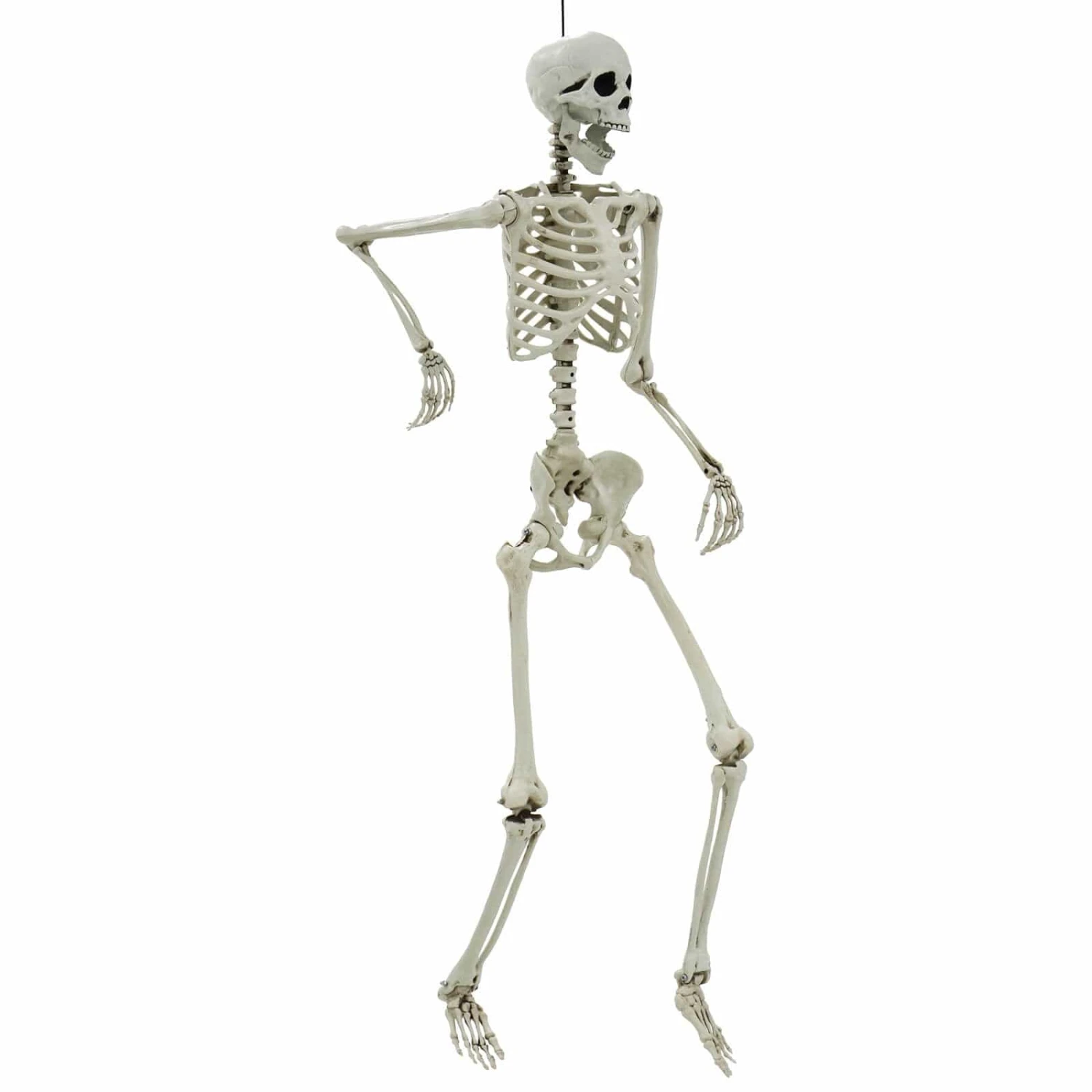 Life Size Poseable Skeleton Halloween Decoration Party Prop 152cm 4 Life Size Poseable Skeleton Halloween Decoration Party Prop 152cm - Image 4