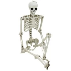 Life Size Poseable Skeleton Halloween Decoration Party Prop 152cm 10 Life Size Poseable Skeleton Halloween Decoration Party Prop 152cm -XS Stock Shop XS7424 4 opt