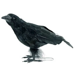 Black Crow Halloween Decoration Bird Realistic Feathers Raven 25cm -XS Stock Shop XS7435 2 opt