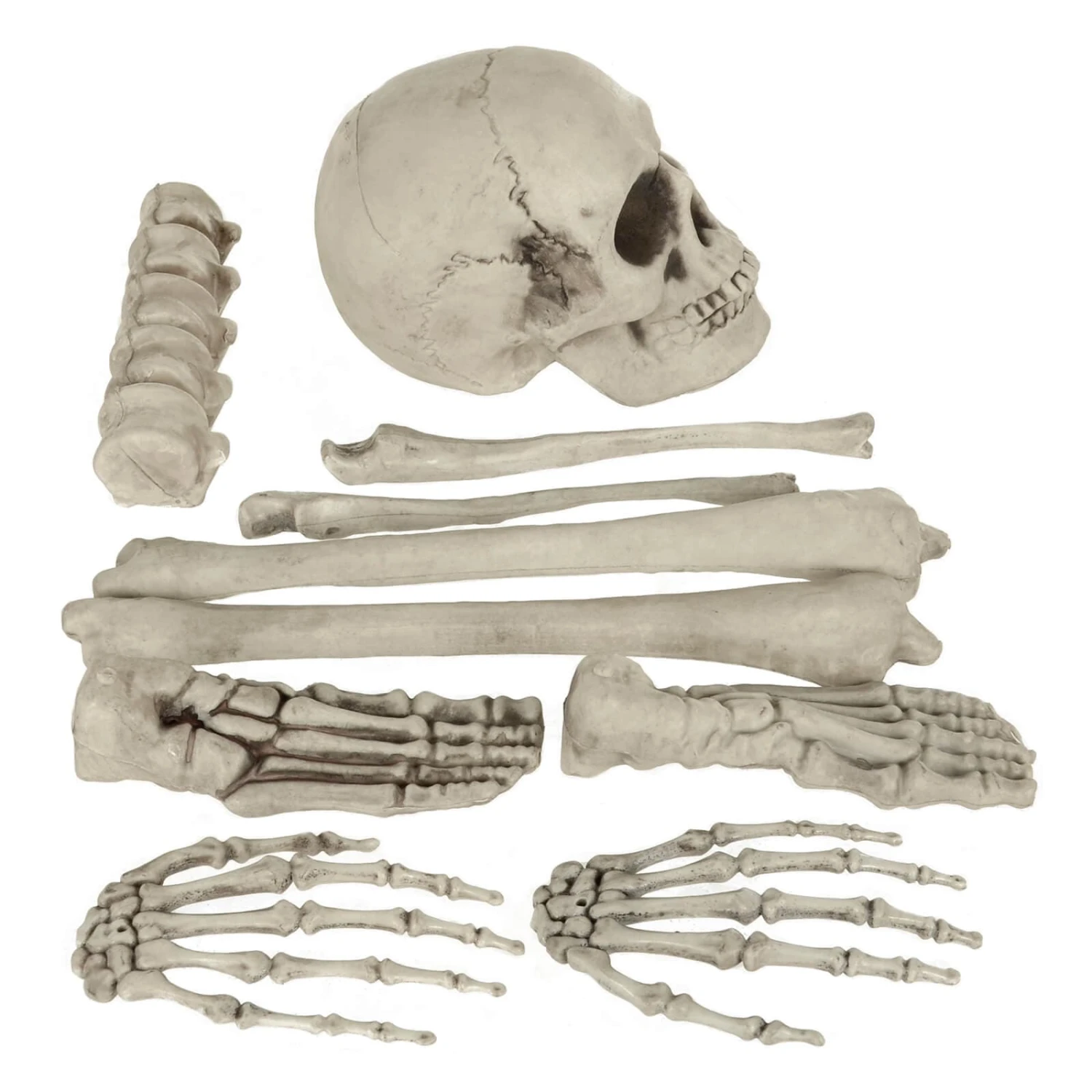 10pc Skeleton Bones Set Graveyard Tomb Props Party Decoration 3 10pc Skeleton Bones Set Graveyard Tomb Props Party Decoration - Image 3