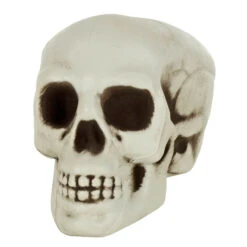 Pack Of 6 Skulls 10cm Plastic Set Halloween Party Decoration -XS Stock Shop XS7464 2 opt