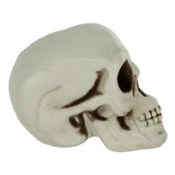 Pack Of 6 Skulls 10cm Plastic Set Halloween Party Decoration -XS Stock Shop XS7464 3 opt