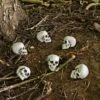 Pack Of 6 Skulls 10cm Plastic Set Halloween Party Decoration
